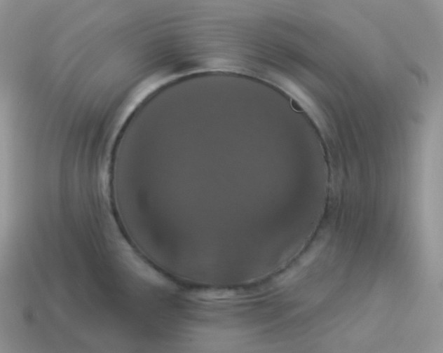 X0000114031291200910161811