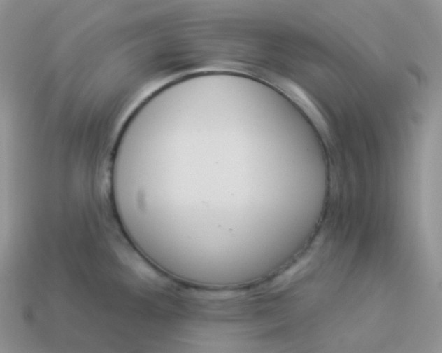 X0000114031292200910161811