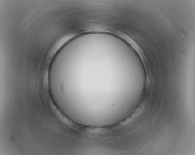 X0000114031293200910161811