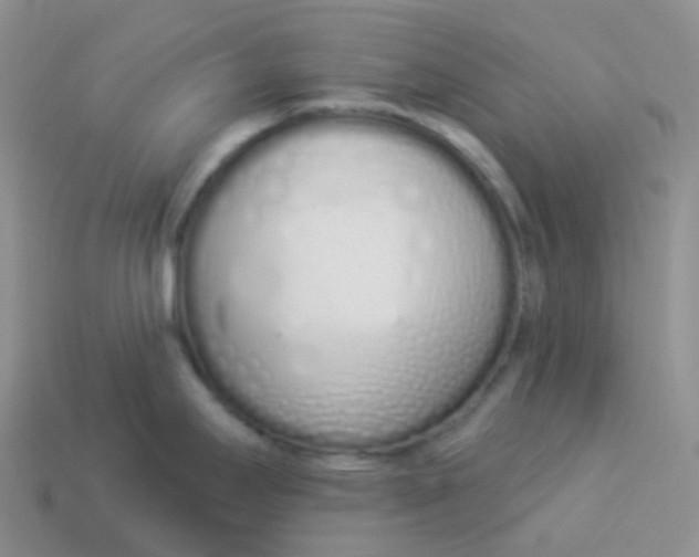 X0000114031295200910161811