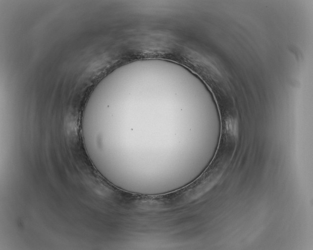 X0000114031300200910161810