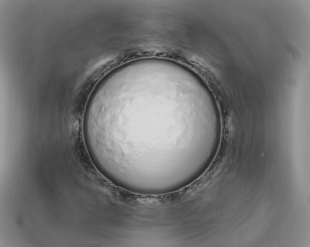 X0000114031302200910161810