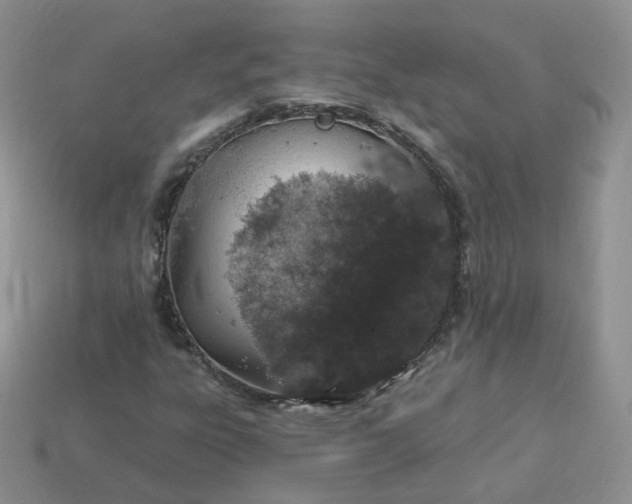 X0000114031303200910161810