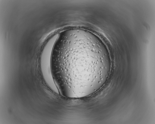 X0000114031304200910161810