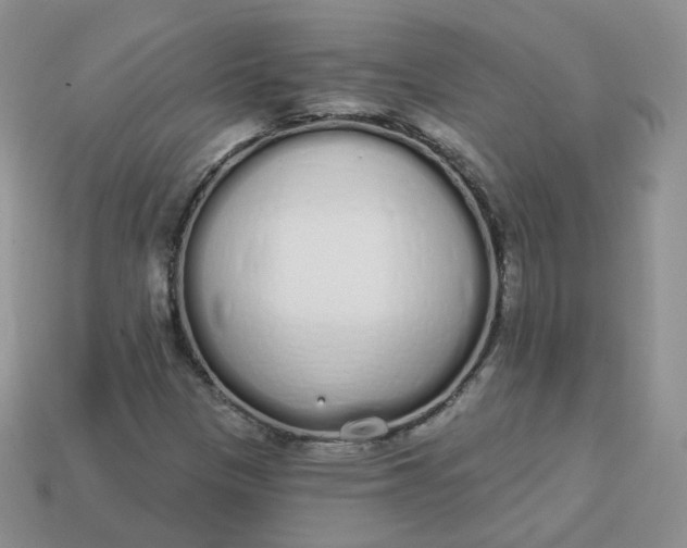 X0000114031305200910161810