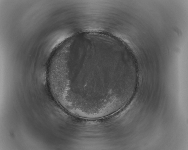 X0000114031306200910161810