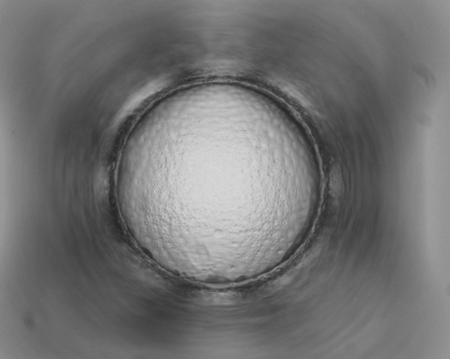 X0000114031309200910161810