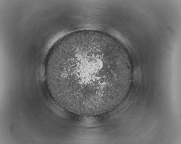 X0000114031310200910161811