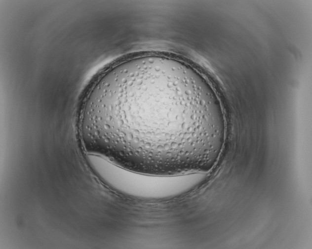 X0000114031312200910161811