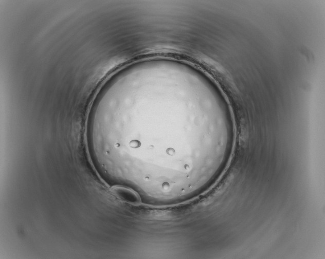 X0000114031313200910161811