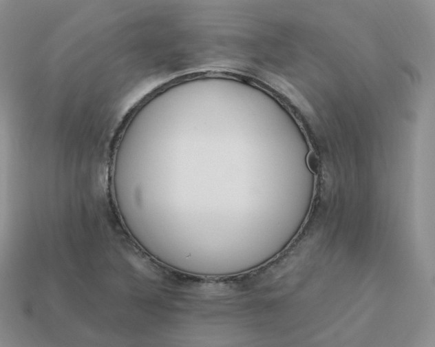 X0000114031316200910161811