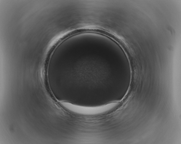 X0000114031319200910161811