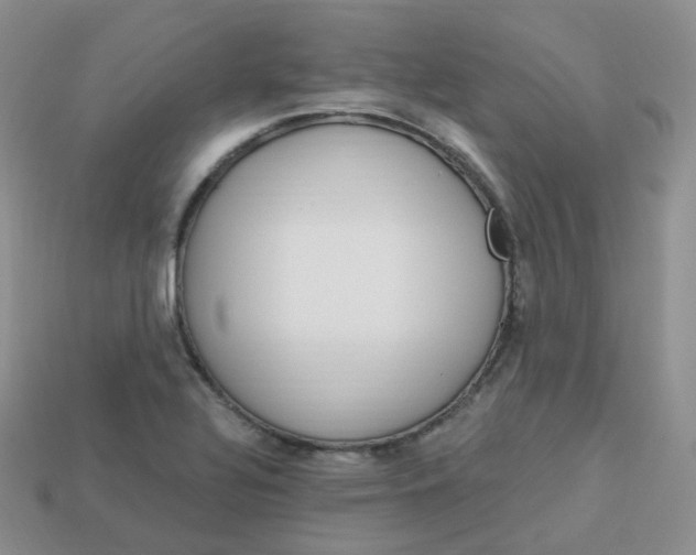 X0000114031320200910161811