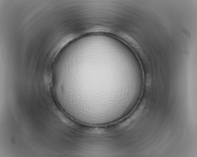 X0000114031321200910161811