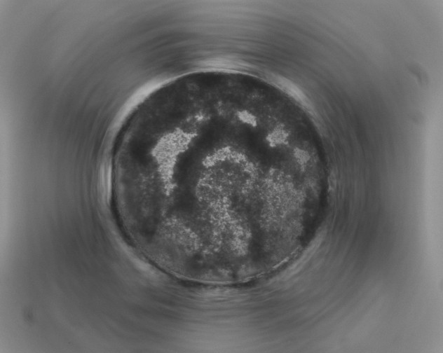 X0000114031323200910161811