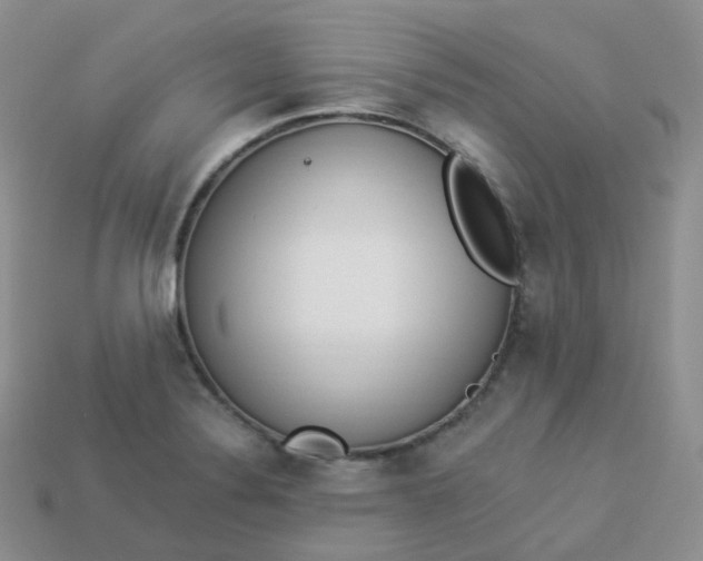 X0000114031324200910161811