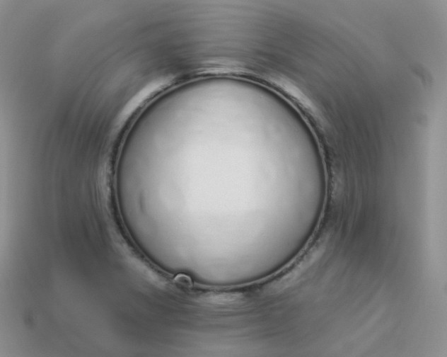 X0000114031325200910161811