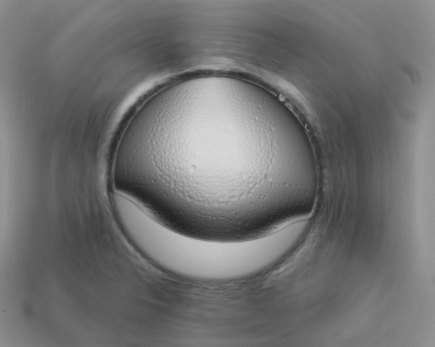 X0000114031326200910161811