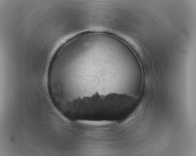 X0000114031327200910161811