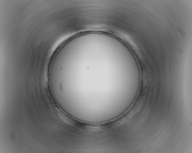 X0000114031328200910161811