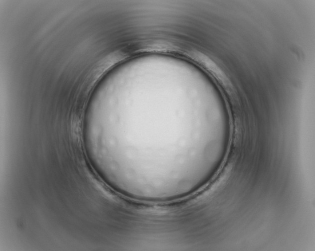 X0000114031329200910161811