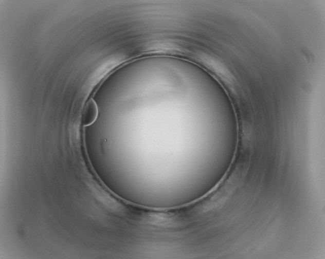 X0000114031330200910161811