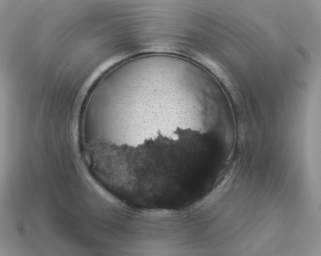 X0000114031331200910161811