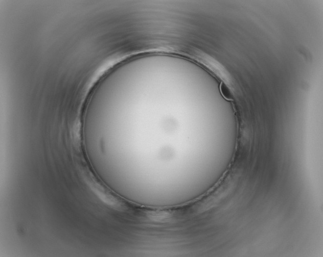 X0000114031332200910161811