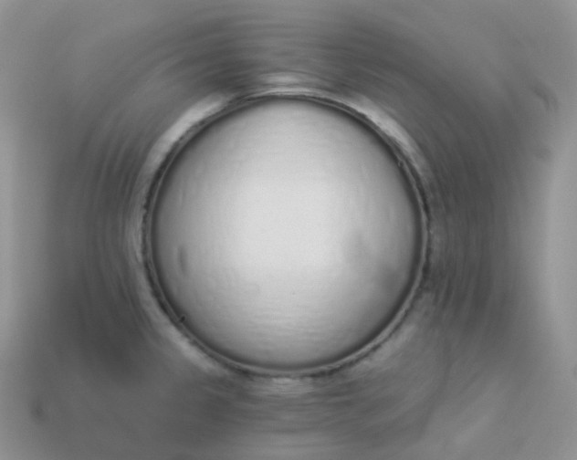 X0000114031333200910161811