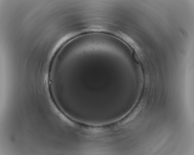 X0000114031334200910161811