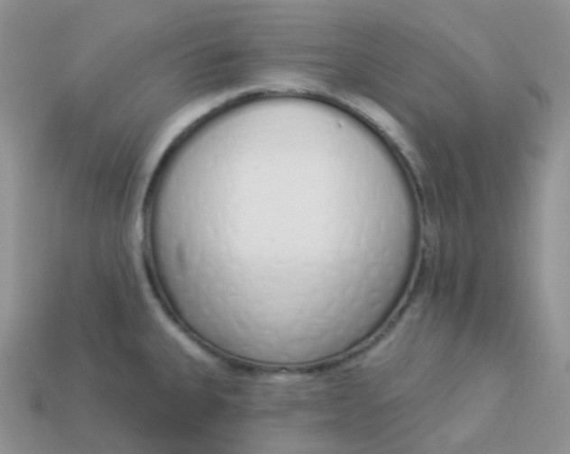 X0000114031335200910161811