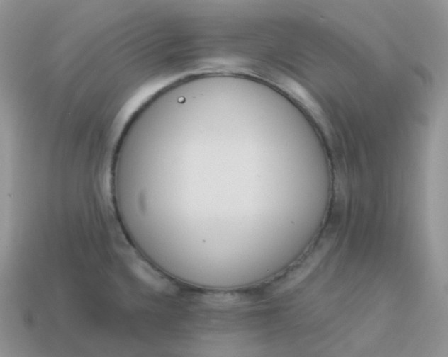 X0000114031336200910161811