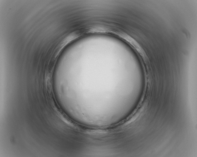 X0000114031337200910161811