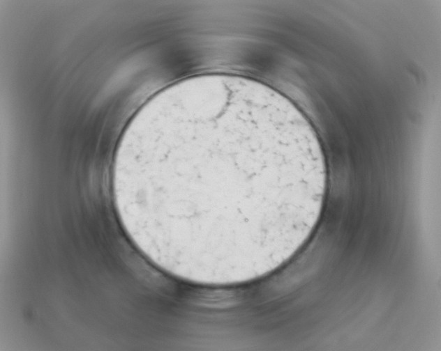 X0000114031338200910161811