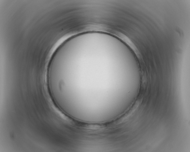 X0000114031339200910161811