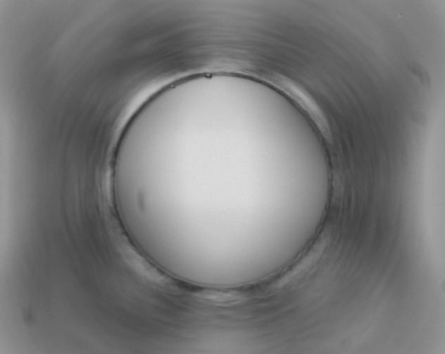 X0000114031340200910161811