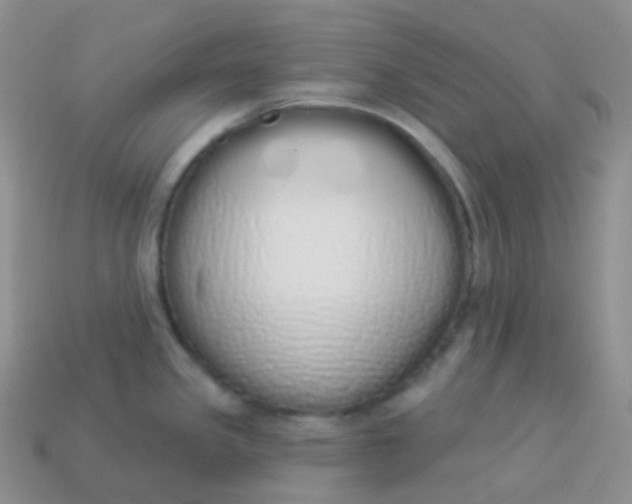 X0000114031341200910161811