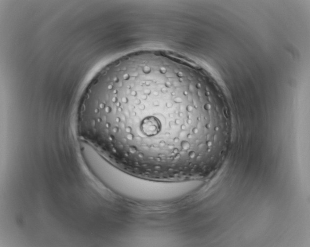 X0000114031342200910161811