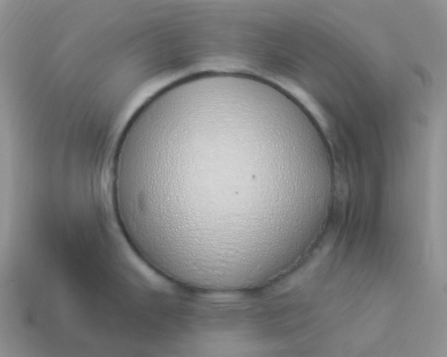 X0000114031343200910161811