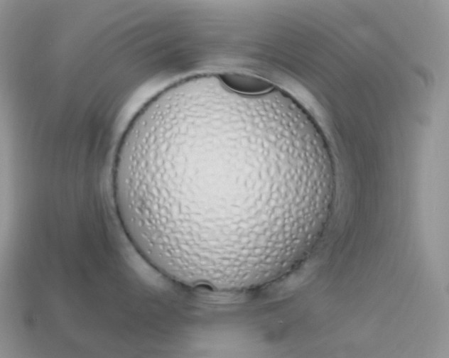 X0000114031344200910161811