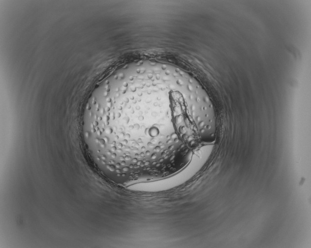 X0000114031345200910161810