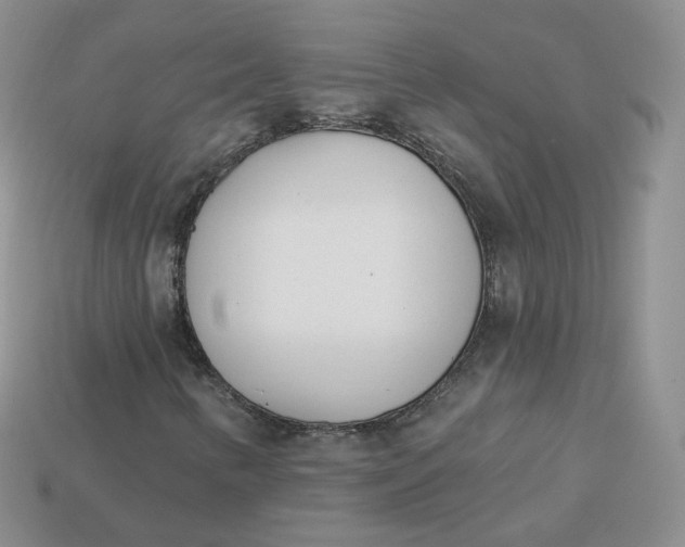 X0000114031346200910161810