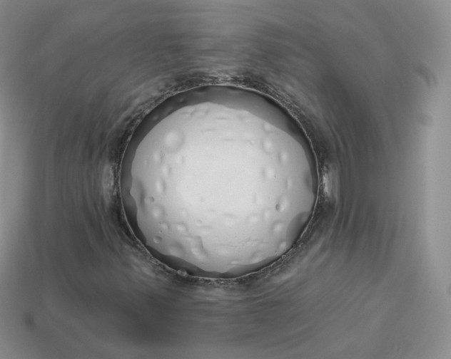 X0000114031347200910161810