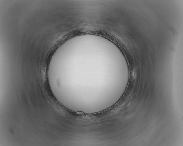 X0000114031348200910161810