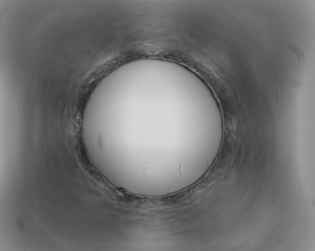 X0000114031349200910161810