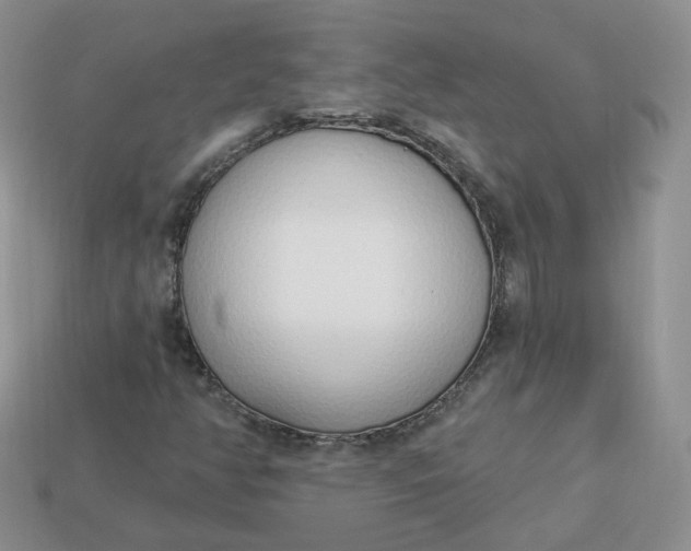 X0000114031350200910161810