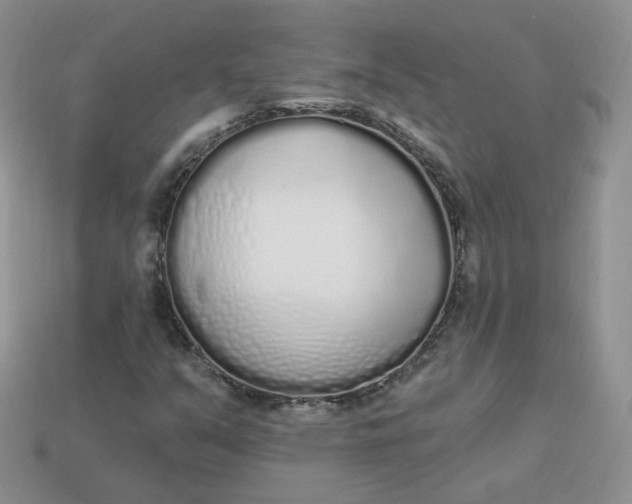 X0000114031351200910161810