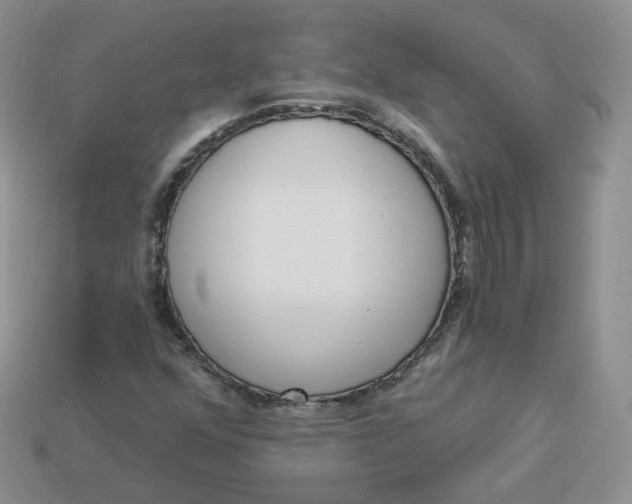 X0000114031352200910161810