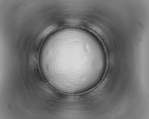 X0000114031354200910161810