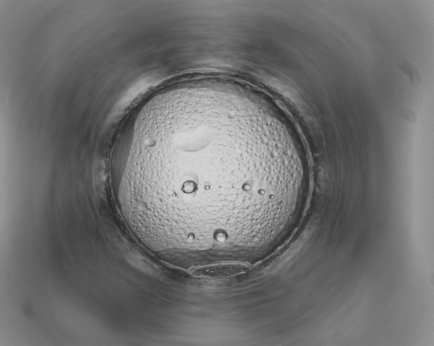 X0000114031355200910161810